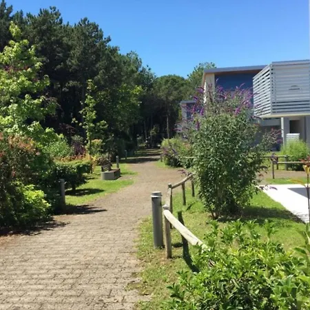 New And Bright Ground-floor Flat Near The Sea Apartment